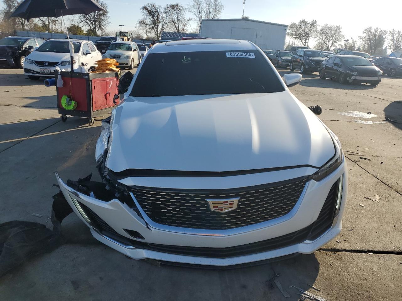 2020 Cadillac Ct5 Luxury VIN: 1G6DW5RK0L0120793 Lot: 85556404